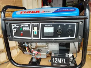 Tiger TNG3700E 2.7kVA AVR Generator