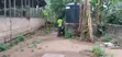 Pigs Farm for Sale at Nsawam Voltic - 4