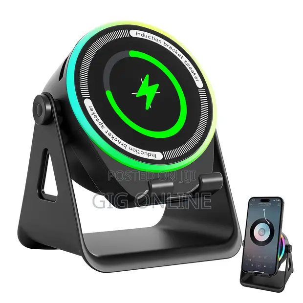 Portable Wireless Induction Speaker - 1
