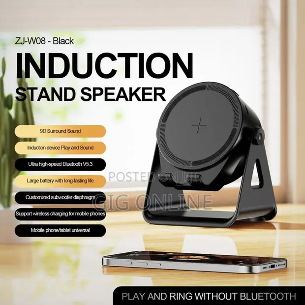Wireless Phone Induction Speaker - 1