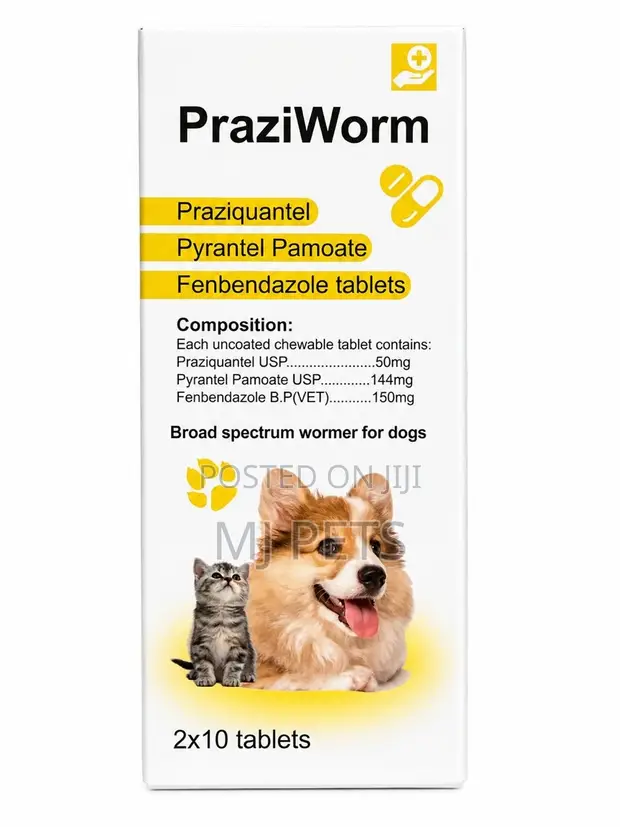 PraziWorm Dewormer Tablets for Dogs & Cats - 1
