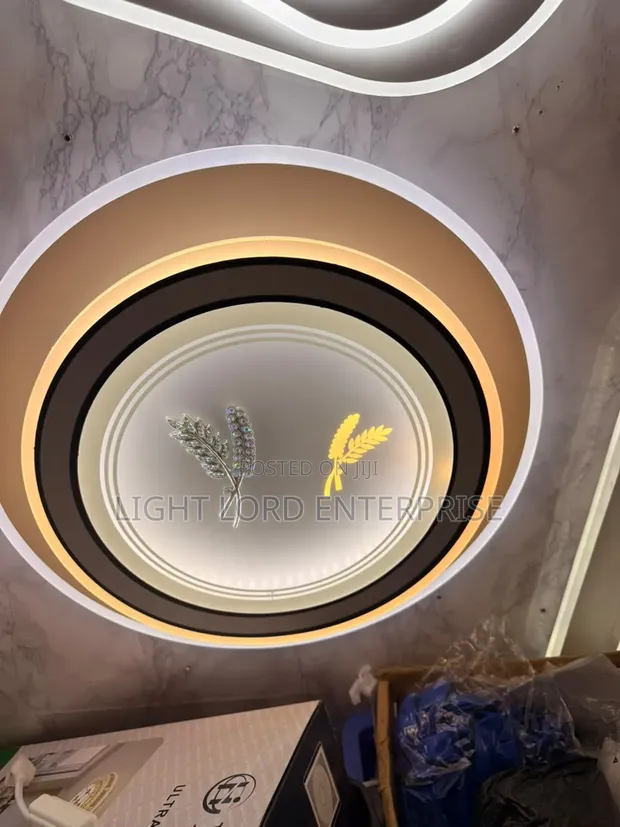 Shape Animated Series Ceiling Light - 2 Color Options - 1