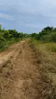 100x70 Serviced Land for Sale in Winneba - 2