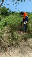 100x70 Serviced Land for Sale in Winneba - 3