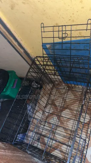 Brand New Dog Cage with Free Accessories