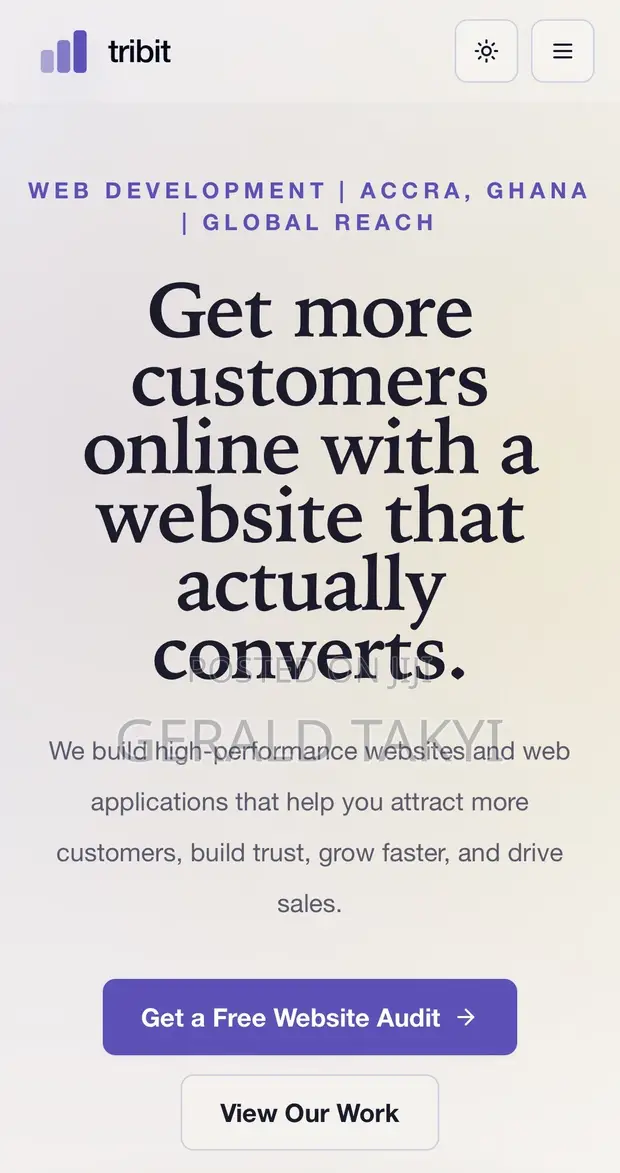 Professional Website & Software Developer - 1
