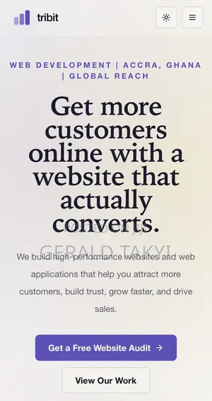 Professional Website & Software Developer