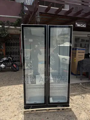 Pearl PVC-801-27AA Double Door Refrigerator (Mirror)