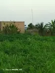 Litigation Free Land for Sale in Gomoa East - 2