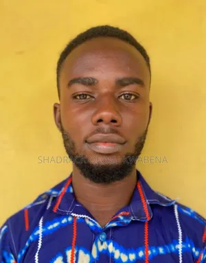 Bolt/Uber Driver CV - Shadrack