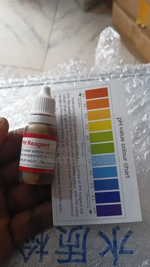 PH Regeant Pet Accessory