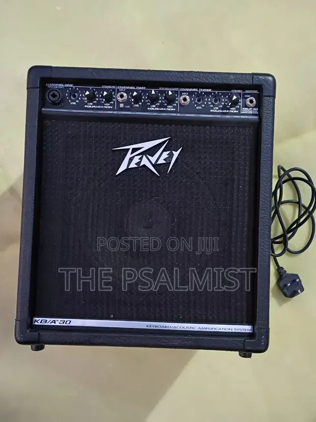 Peavey KB/A 30 Keyboard & Acoustic Combo Amplifier - 1
