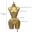 Premium Female BBL Mannequin with Golden Stand - 2