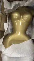 Premium Female BBL Mannequin with Golden Stand - 5