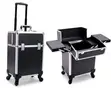 Professional Makeup Luggage (Large) - 1