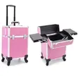 Professional Makeup Luggage (Large) - 4