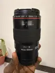 Canon EF 100mm f/2.8L Macro IS USM Lens - 2
