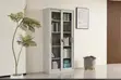 Metal 2 Swing Glass Door Office Cabinet - 2