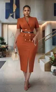 Zars Women's Official Wear - Brown Pencil Dress - 2