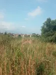 Fenced Plots for Sale @ Kasoa Ofankor - 5