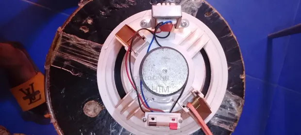 Professional Ceiling Speaker - 1