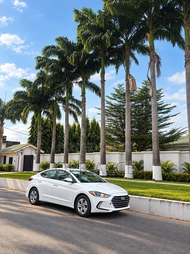 Hyundai Elantra 2017 White - 1