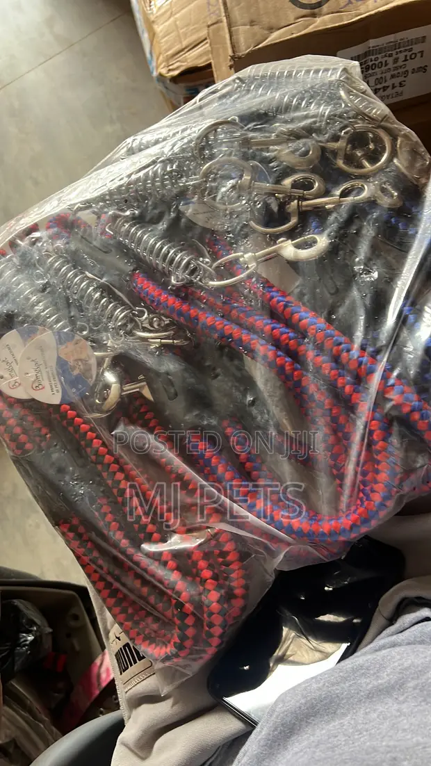Nylon Pet Chest Leash - 1