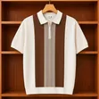 Short-Sleeved Vertical Colorblock Knit Quarter-Zip Polo Shirt - 2