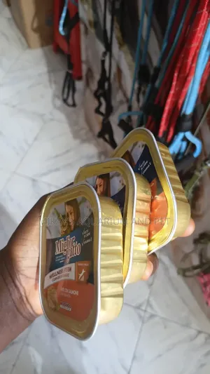 Chicken Flavour Cat Food (All Stages)