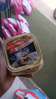 Chicken Flavour Cat Food (All Stages) - 4
