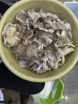Oyster Mushrooms - 1