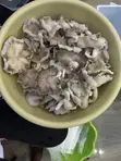 Oyster Mushrooms - 2