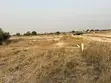 Residential Land for Sale in Bueko, Near Central University - 4