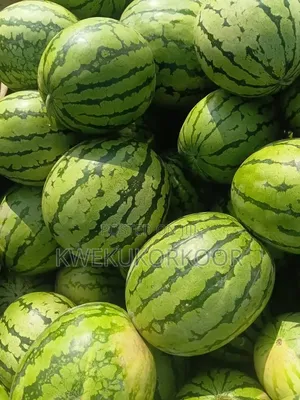 Fresh Farm Fruits and Produce