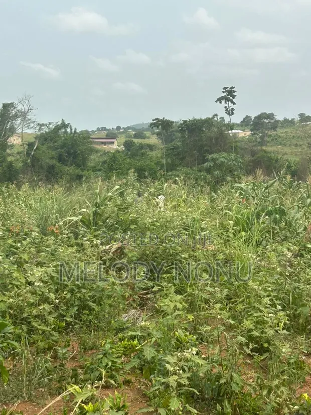 Estate Lands for Sale - Kasoa, Amasaman, Nsawam - 1
