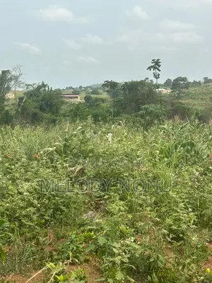 Estate Lands for Sale - Kasoa, Amasaman, Nsawam