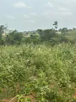 Estate Lands for Sale - Kasoa, Amasaman, Nsawam - 1