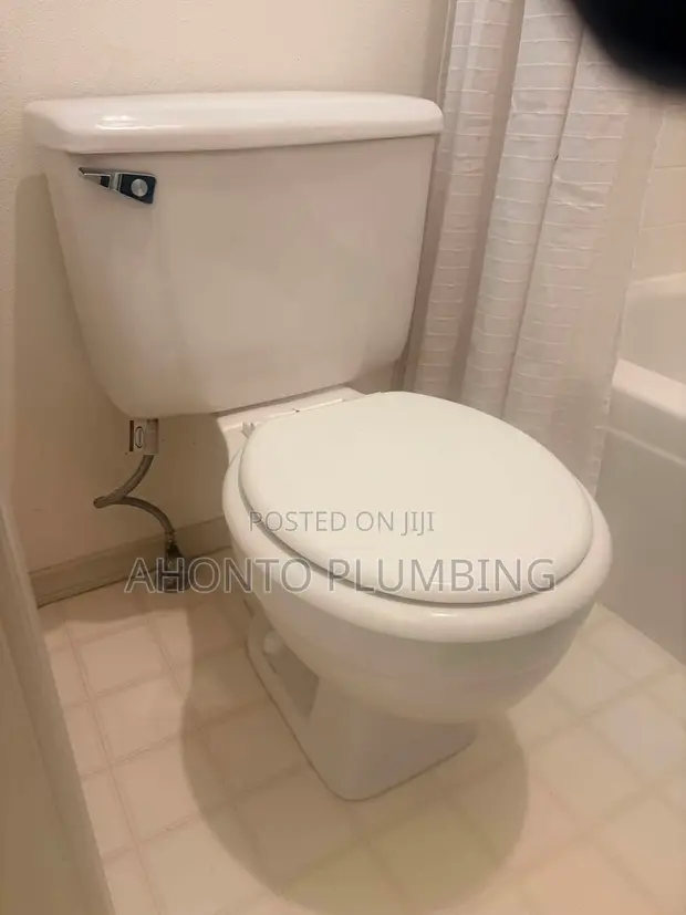 Professional Plumbing Installation Services - 1