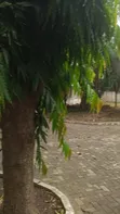 1 Bedroom Block of Flats for Sale, Airport Residential Area - 5
