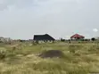 Blue Palm Real Estate: Affordable Plots in Prampram Miotso - 3