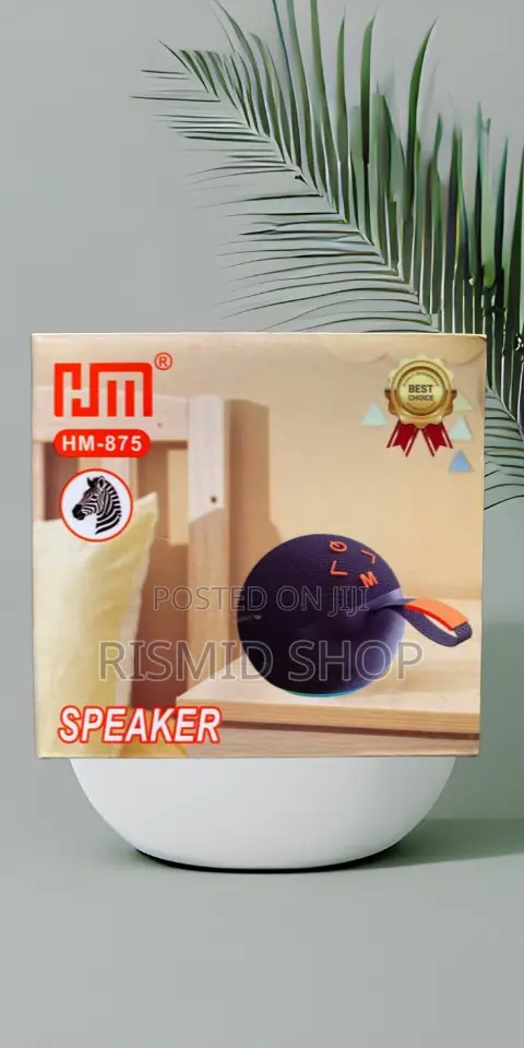 HM-875 Mini Portable Bluetooth Soundbar - 1