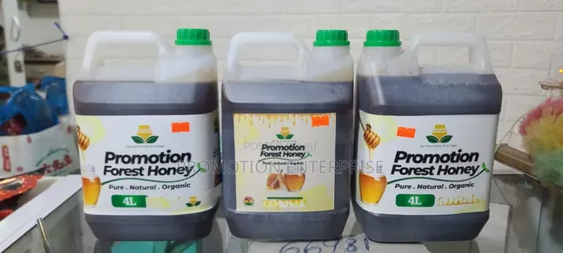 Pure Organic Forest Honey - 1
