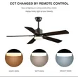 52-Inch 5-Blade Ceiling Fan with Remote & 3-Color Light - 2