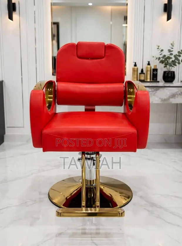 Luxury Salon Chairs - 1