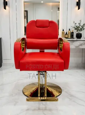 Luxury Salon Chairs
