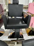 Luxury Salon Chairs - 4