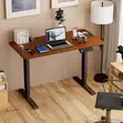 Heavy-Duty Electric Standing Desk (120cm x 60cm) - 1