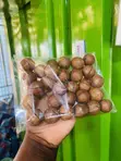 Macadamia Nuts in Shell 250g - 2