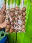 Macadamia Nuts in Shell 250g - 3