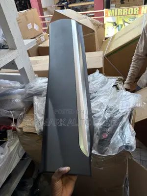Hyundai Santa Fe Door Moulding (2019-2023)